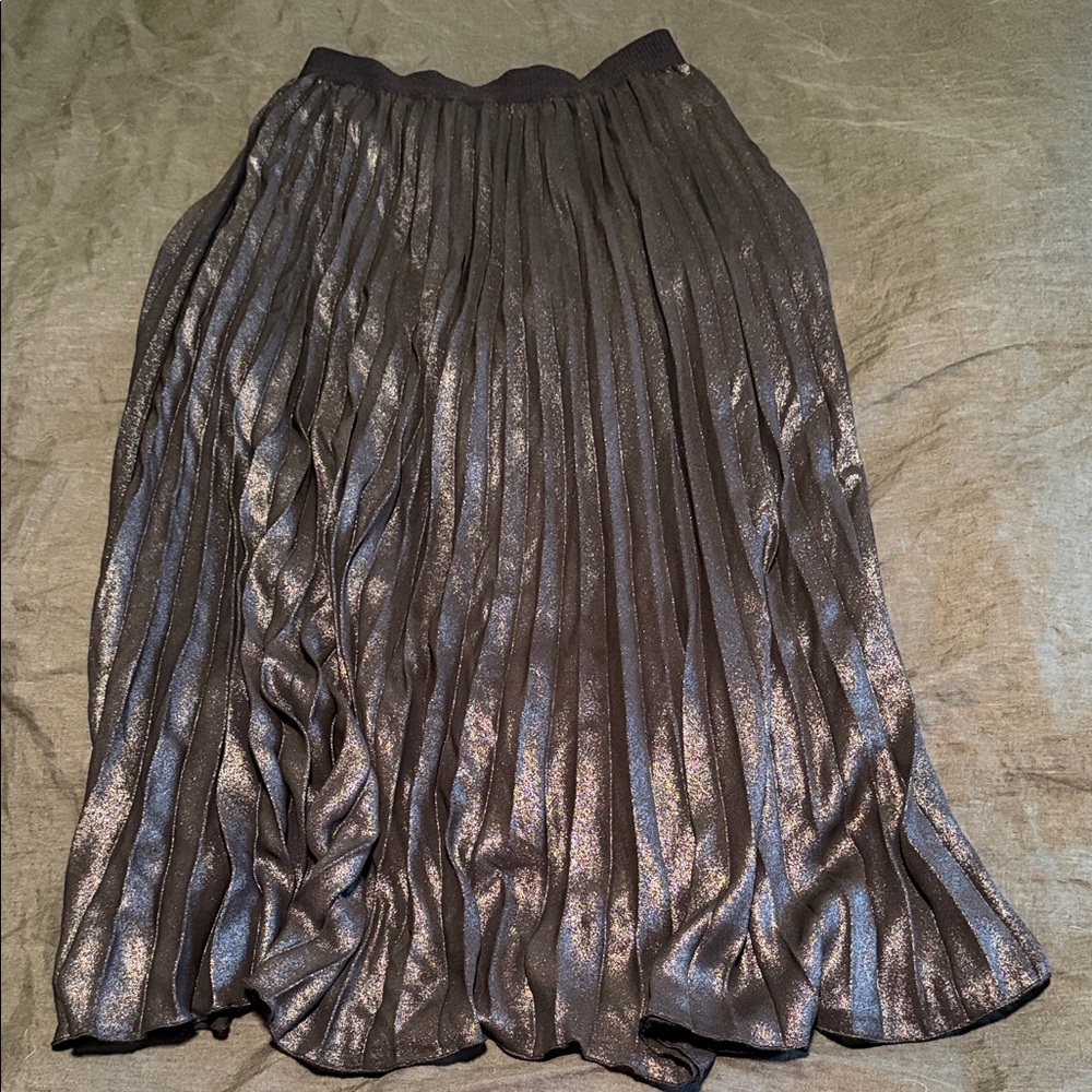 Shimmering Silver A-Line Skirt